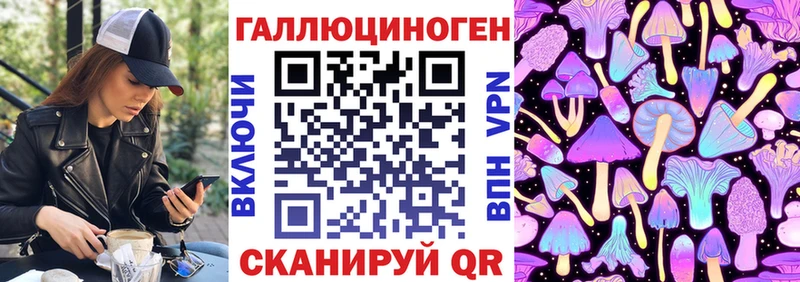 хочу наркоту  Балтийск  Псилоцибиновые грибы Magic Shrooms 